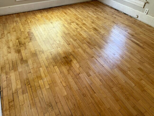 801 West Ave S unit Lower, La Crosse, WI 54601 - photo 5