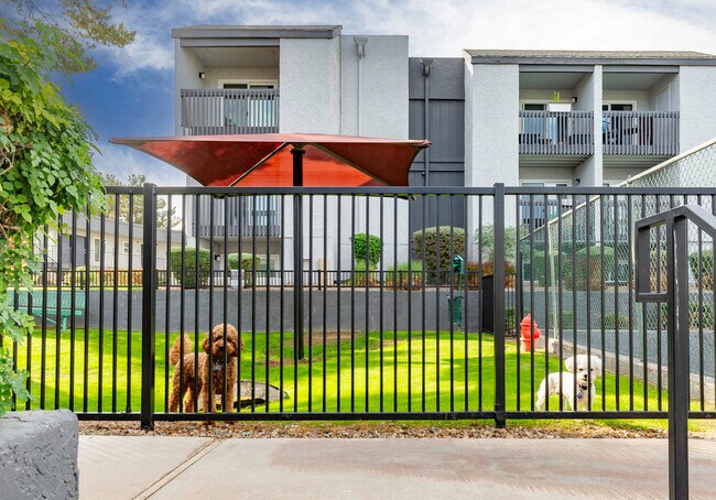 Waterstone, Mesa, AZ 85202 - photo 4