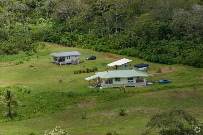 Some homes in Pahoa are hidden away in the forest.