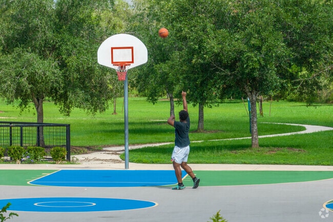 Lions Ball Park offers courts for basketball and other sports in Manvel.