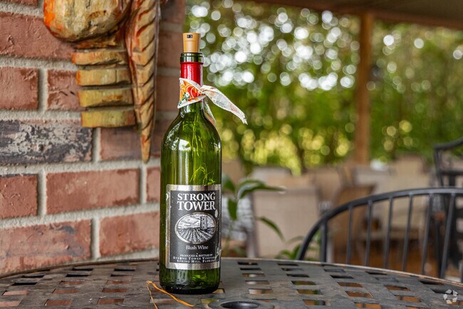 Bring a group and take part in a wine tasting at Strong Tower Vineyards in Shady Hills.