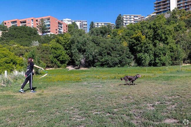 Rotary Glen Dog Park is a huge dog park in Foothill Sunnyside.