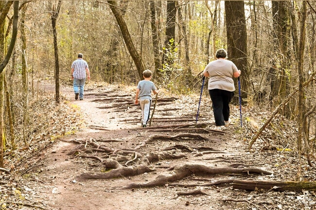 Red Mountain has hiking trails for all skill levels, located near Lipscomb Al.