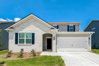 307 Hamilton Pointe Dr, McDonough, GA 30253