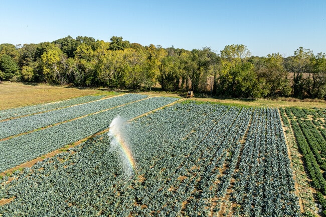 The last Kale crop of the season is irrigated on one of many farms in Hopewell Township.
