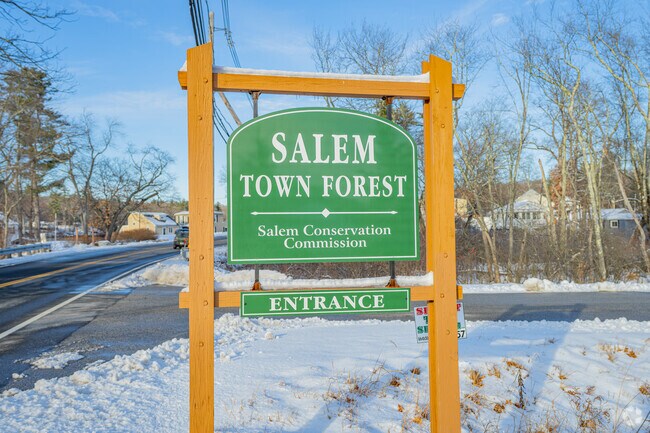 Salem Town Forest offers over three miles of dog-friendly trails.