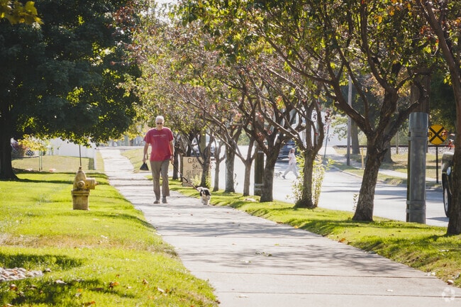 Dog walkers are found everywhere along the streets of Monroe on a sunny day.