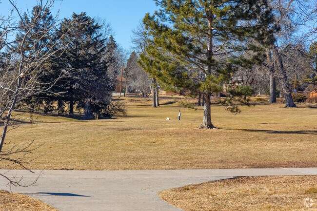 Let your dog run free on the open field at Holbrook Park in Eiber.