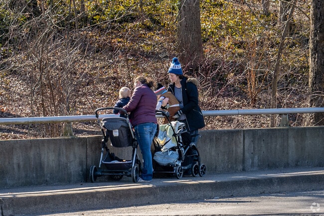 Families love to take morning walks through Elkins Park and enjoy nature.
