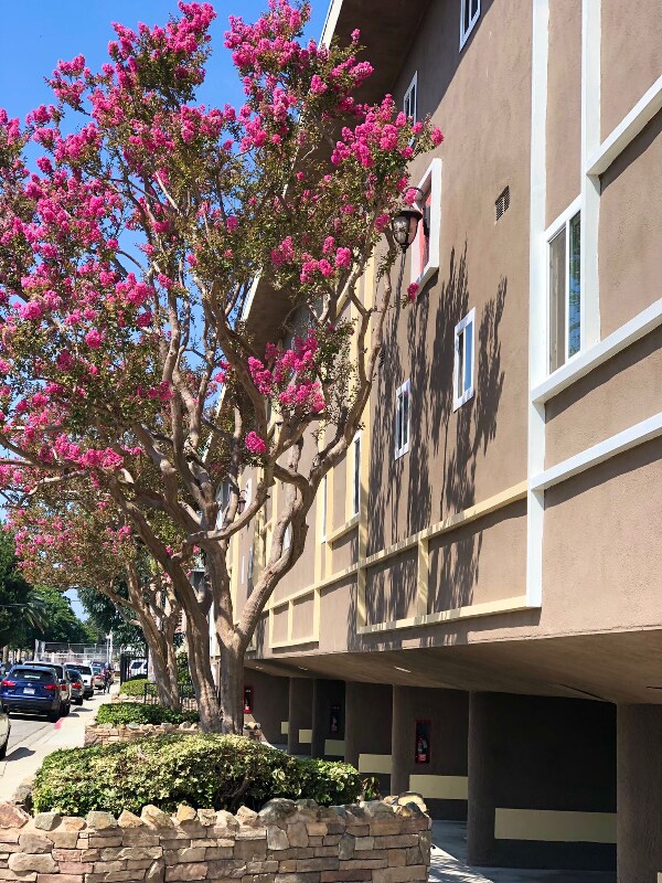 4735 W Broadway unit S, Hawthorne, CA 90250 - photo 3