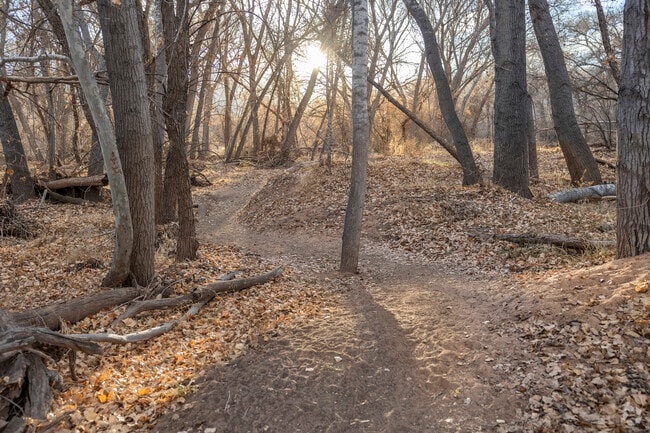 Locals enjoy the sights and sounds of nature along the Jail Trail in Verde Village.