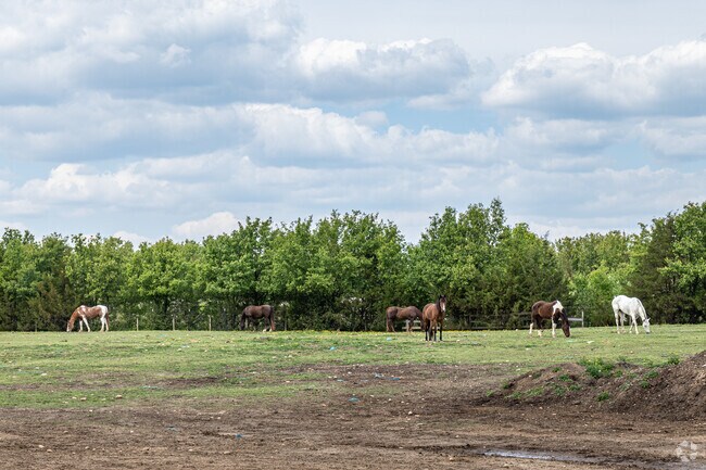 Horseback riding and outdoor fun make Piscataway Riding Stable a favorite spot in Windbrook.