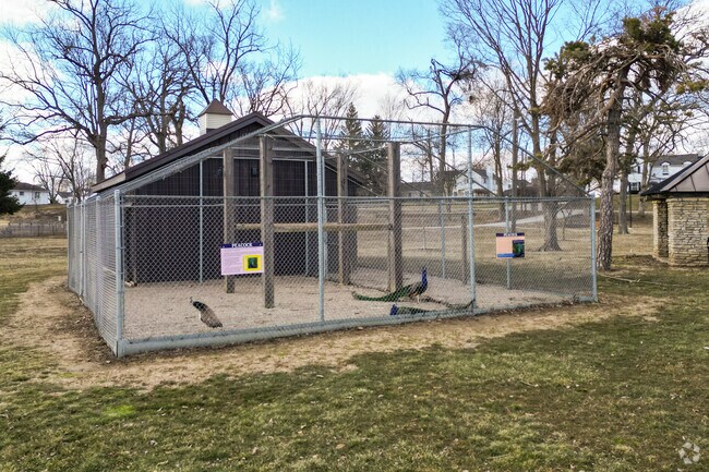 Greenville City Park in Greenville is home to the Peacock House where guests can view the parks peacocks.