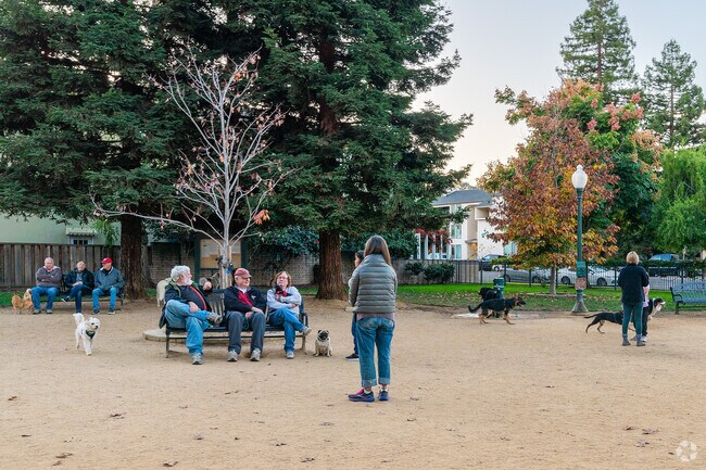 City Hall Park near Cordes has a dog park.