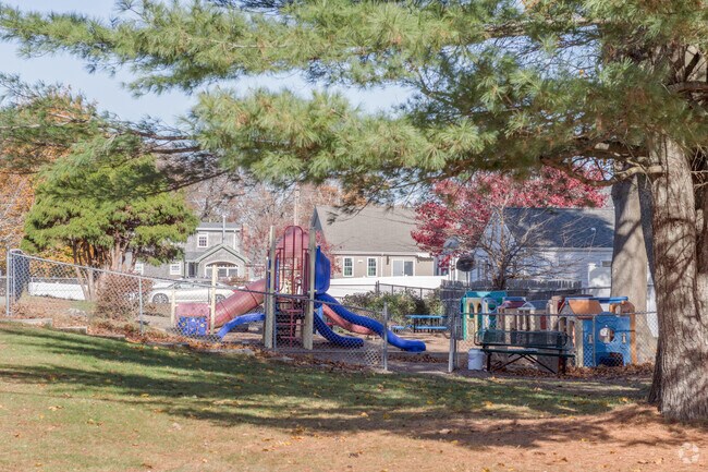 A delightful shady playground is a for the younger students at All Saints Catholic School.
