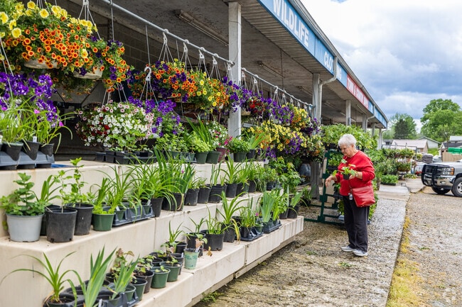 Town and Country Supply, Inc. in Ona has a wide selection of plants, farming supplies, and home goods.