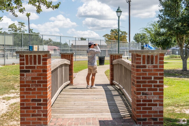 Enjoy bird watching at Center Circle Park in Maplewood.
