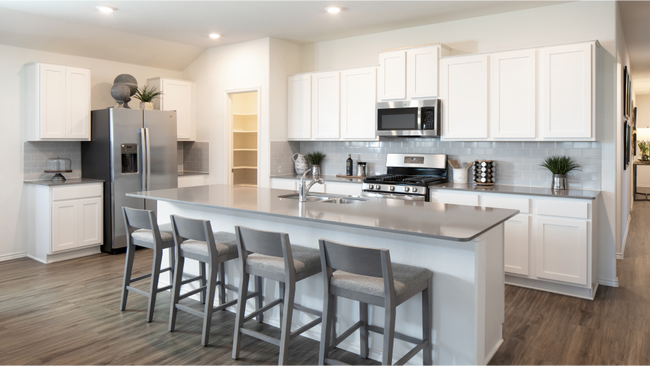 1605 Four Waters Loop unit 36032955, Andice, TX 78628 - photo 7