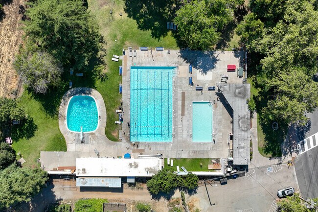 Sparkling competition-sized lap Pool at Gehringer Park Recreation Club in Dana Estates.