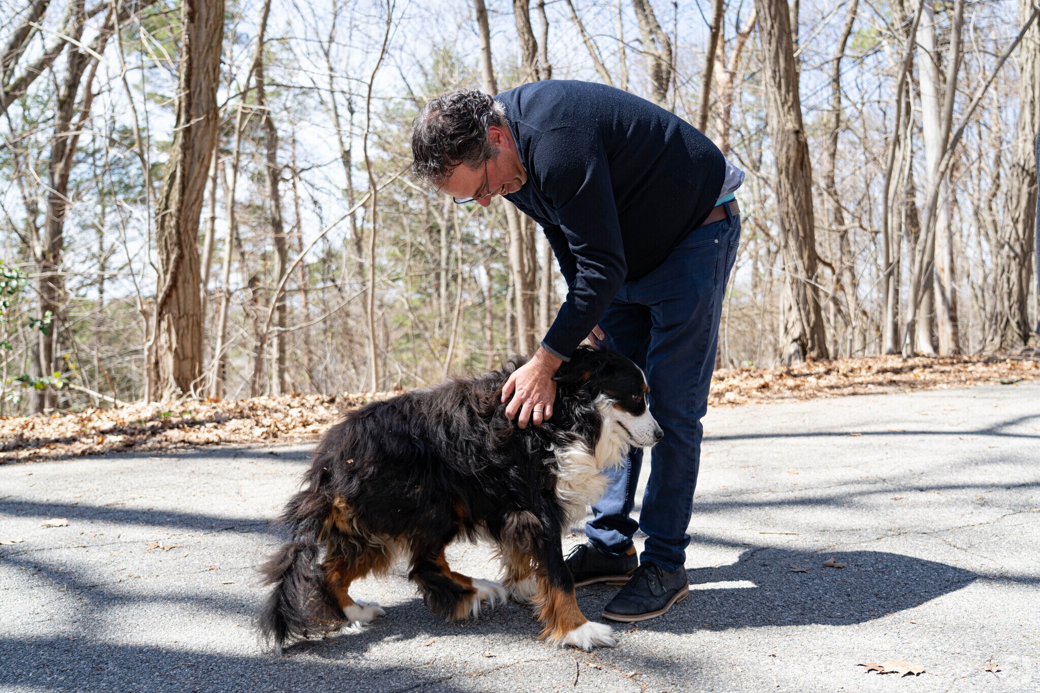 Bellevue Hill Park has short hiking trails making it popular for dog walking and light jogs.