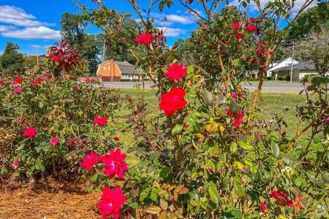 Freestate-North Highlands features great floral arrangements along the highways.