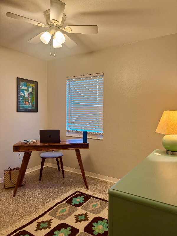 4916 26th Ave S, Gulfport, FL 33707 - photo 5