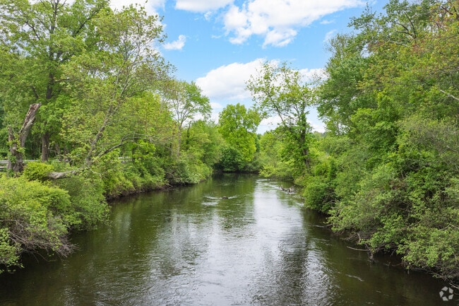 The Charles River gently winds through Norfolk, adding natural beauty and peaceful moments to everyday life.
