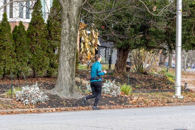 Take a jog through Beverly Hills and admire the quaint architecture.