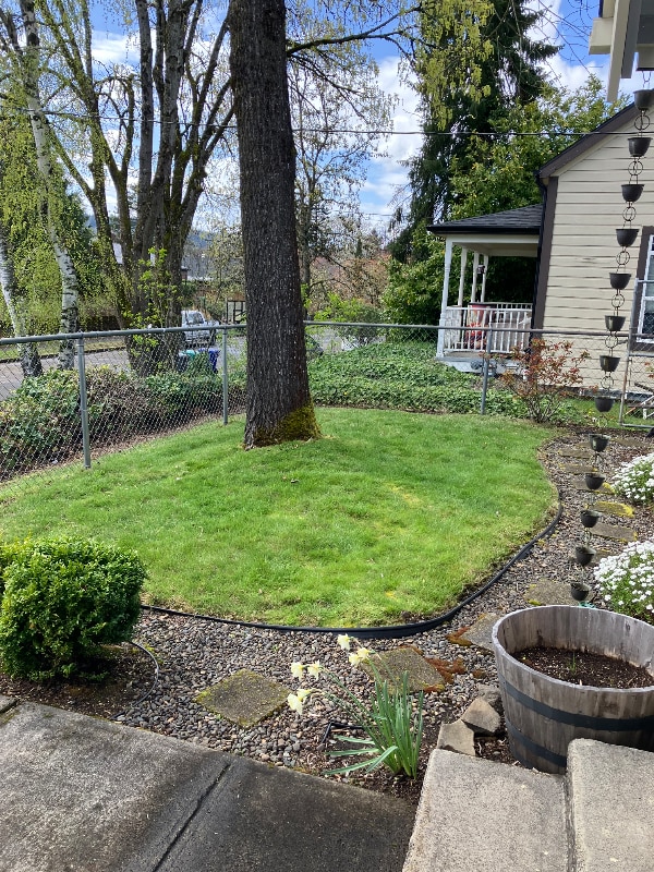 5515 N Syracuse St, Portland, OR 97203 - photo 3