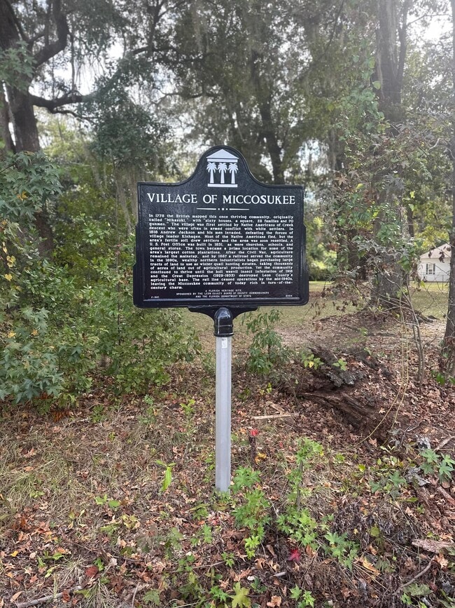 Wonderful community located between Monticello, Tallahassee, and Thomasville