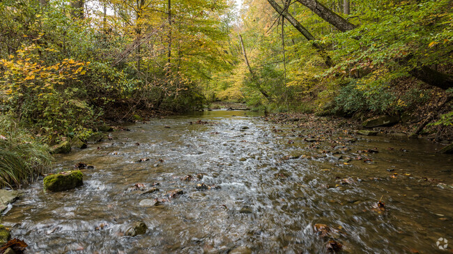 Enjoy the serenity of the stream at the Valley Trail Head in Springfield.