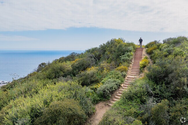 Coast Royal is surrounded by breathtaking hikes tucked away in the hills, offering secluded trails with stunning vistas of the coastline and native landscapes.