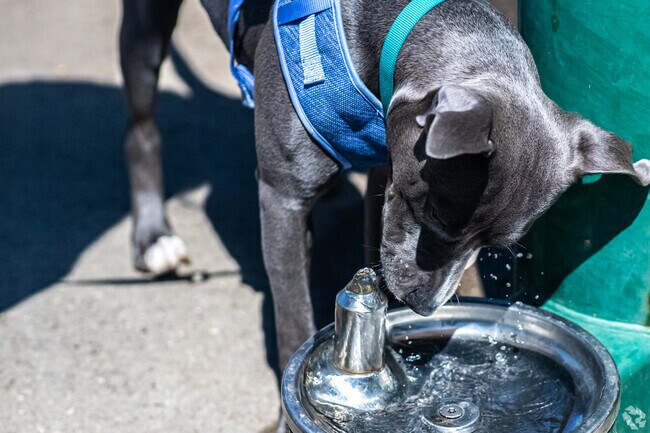 Santa Fe Park includes a dog park for off‑leash play near Rock Creek.