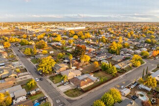 Woodbine