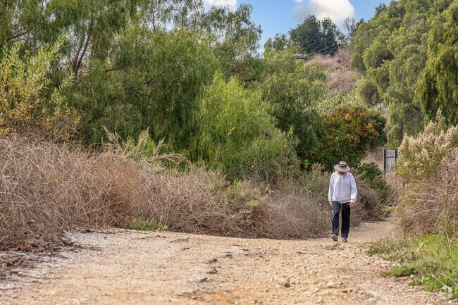 A hiker on the trail at Sycamore Canyon Trail in West Whittier.