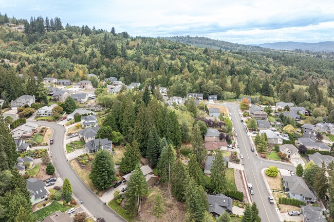 Longview Heights sits high above the city of Longview.