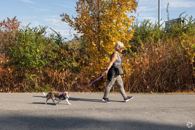 Take your furry friend on a walk at the Wheeling Heritage Trail near South Wheeling.