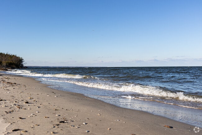 Spend the day sunbathing and searching for shark teeth at Flag Pond Park in St. Leonard.