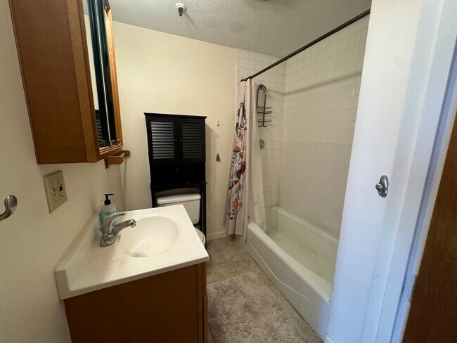 176 W Springfield St unit 1, Boston, MA 02118 - photo 6