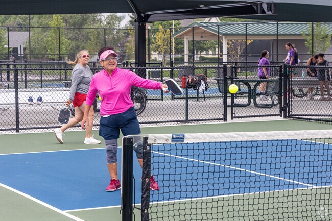 Pickleball is the popular pastime on Lucile Thies Park's public courts.