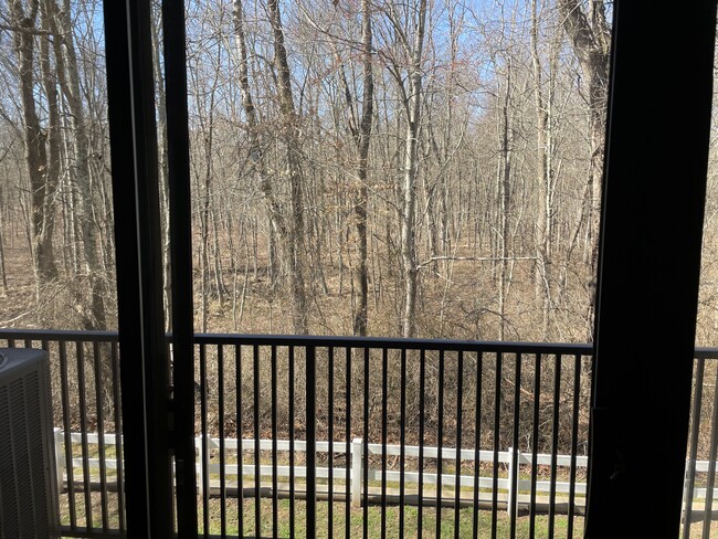 Private wooded view off balcony