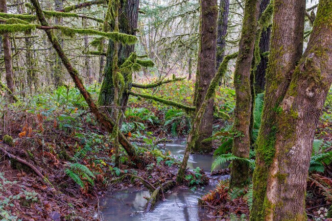 Just outside of Corvallis is the beautiful William L Finley National Wildlife Refuge.