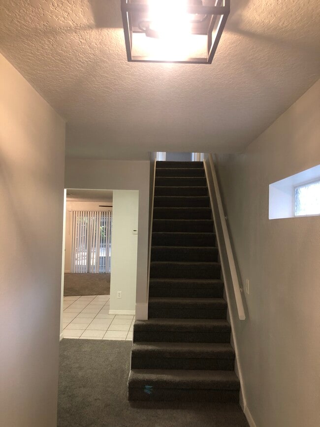 804 E South St, Orlando, FL 32801 - photo 5