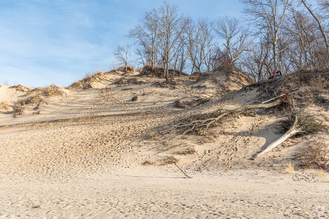 Mount Baldy is the largest living dune in Indiana Dunes National Park in Michigan City.