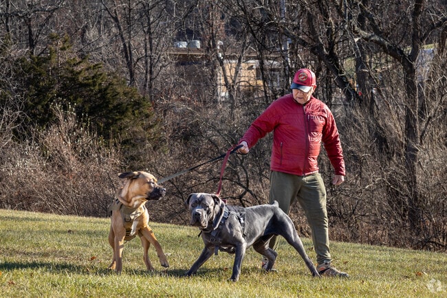 Fredon's canines love Lodestar Park which is the hub of sports activities during the summer.