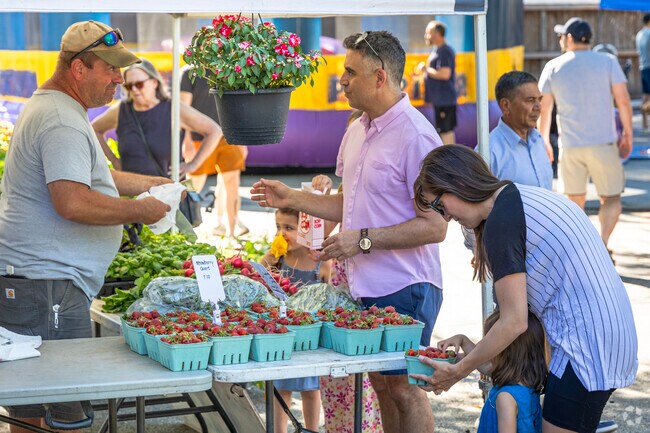 The Ravenswood Farmers Market is a family friendly outdoor market with fresh local produce.