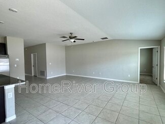 10321 Scarlet Skimmer Dr, Riverview, FL 33578