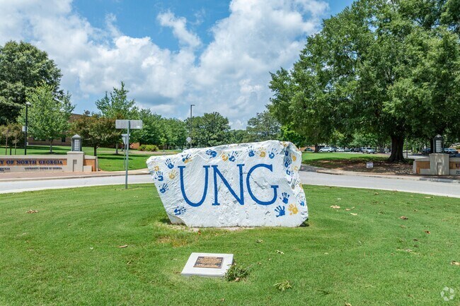 This painted rock on the Univ. of NG campus let's you know you've arrived in Mundy Mill.