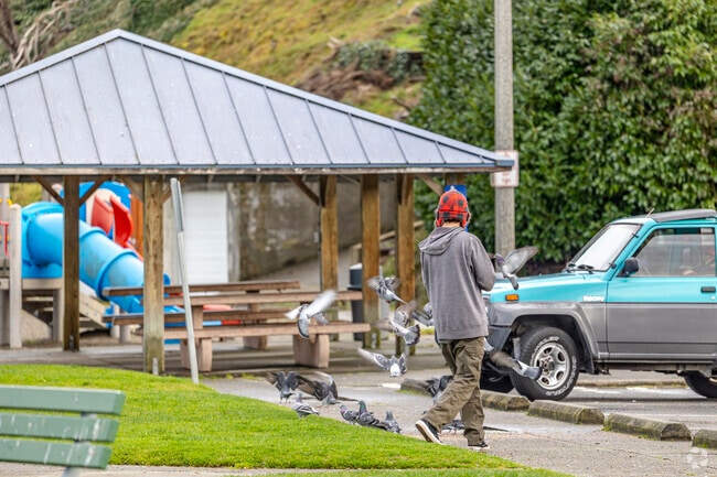 A regular visitor feeds pigeons and ducks at Dash Point.