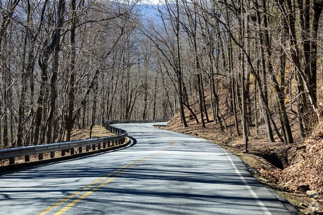 There are lots of mountain roads in Dawson County.